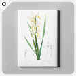 アートパネル-Gold-banded Iris
 - クリーブランド美術館 Canvas.
