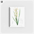 アートメモ帳-Gold-banded Iris
 - クリーブランド美術館 Memo.