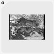 3-33_Dorothea-Lange_postcard
