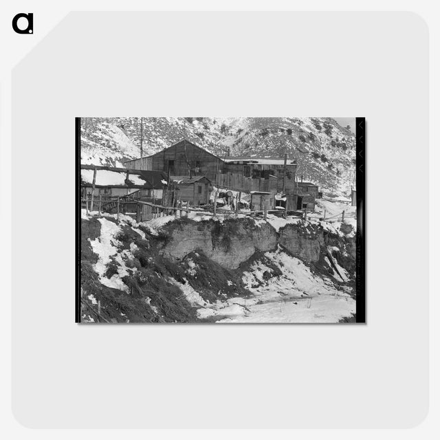 3-33_Dorothea-Lange_postcard