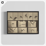 3-33_Eadweard-Muybridge_blk-crop