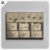 3-33_Eadweard-Muybridge_canvas