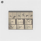 3-33_Eadweard-Muybridge_memo