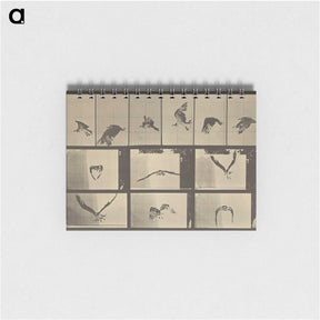 3-33_Eadweard-Muybridge_memo