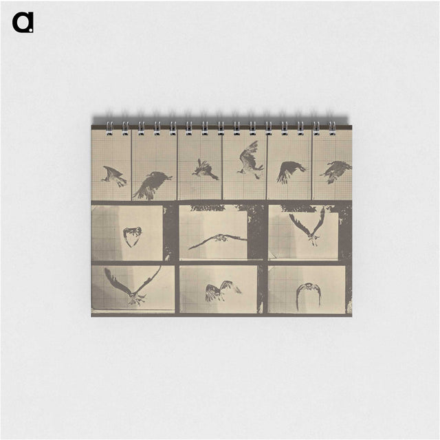 3-33_Eadweard-Muybridge_memo