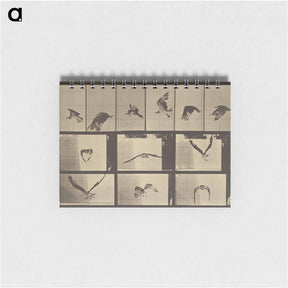 アートメモ帳-Animal Locomotion
 - エドワード マイブリッジ Memo.