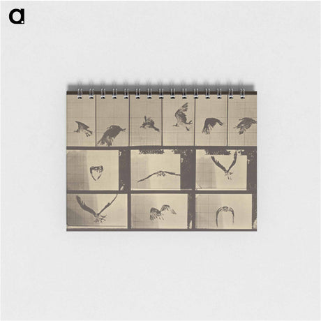 アートメモ帳-Animal Locomotion
 - エドワード マイブリッジ Memo.
