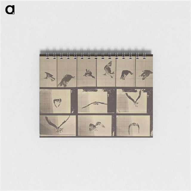 アートメモ帳-Animal Locomotion
 - エドワード マイブリッジ Memo.