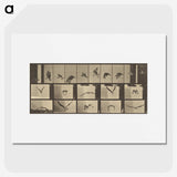 3-33_Eadweard-Muybridge_picture