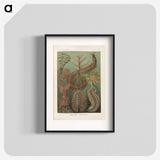 3-33_Ernst-Haeckel_blk