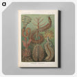 3-33_Ernst-Haeckel_canvas