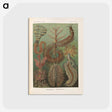3-33_Ernst-Haeckel_postcard