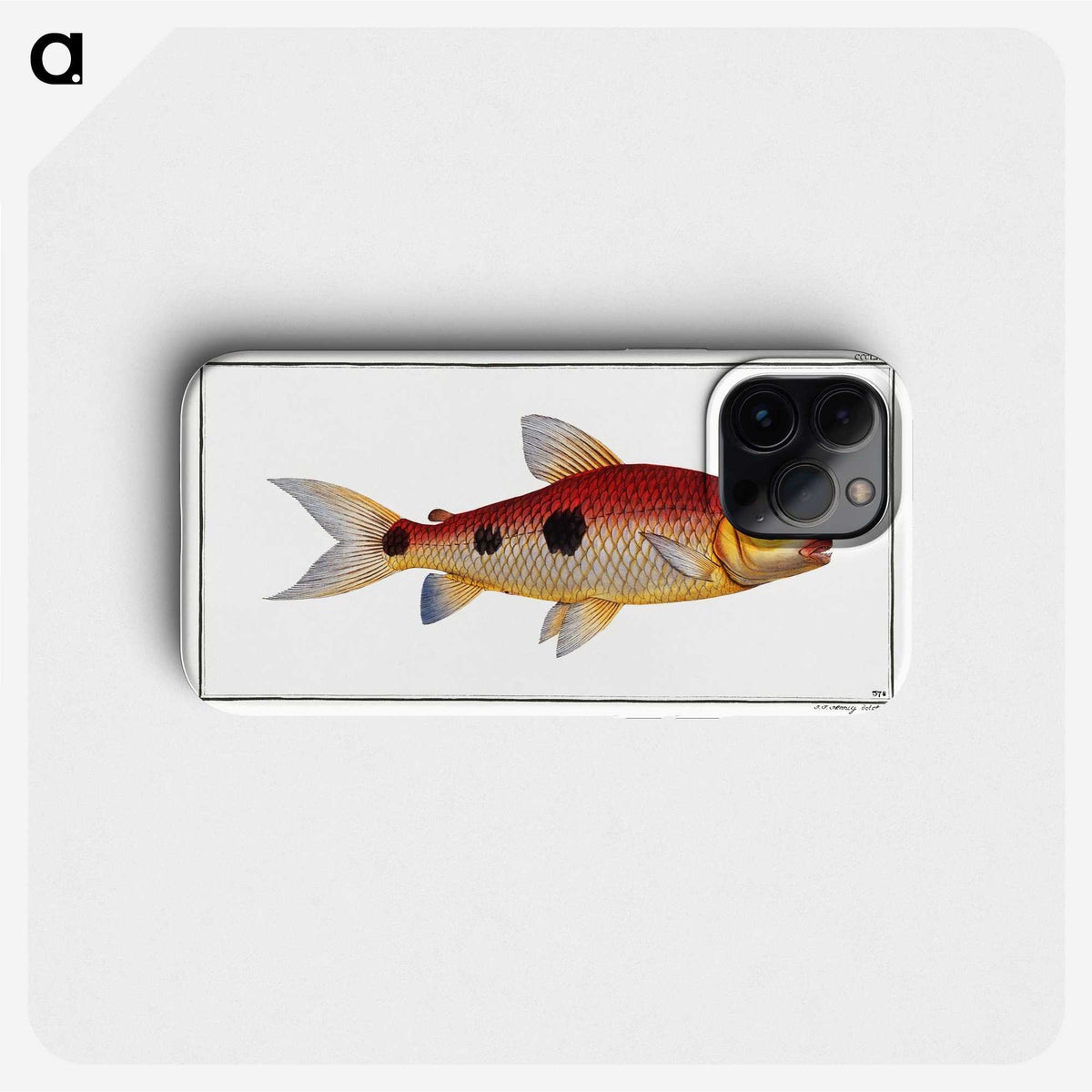 3-33_Ichtyologie-ou-Histoire-naturelle_phone