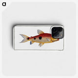 3-33_Ichtyologie-ou-Histoire-naturelle_phone