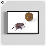 3-33_Insects-Unlocked-Project_blk-crop