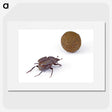 3-33_Insects-Unlocked-Project_picture
