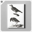 3-33_Johan-Teyler_canvas
