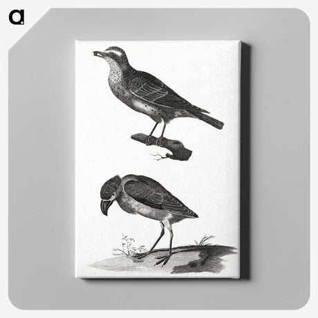 3-33_Johan-Teyler_canvas