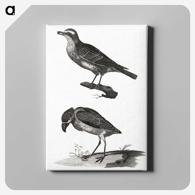 3-33_Johan-Teyler_canvas