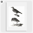 3-33_Johan-Teyler_picture