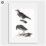 3-33_Johan-Teyler_picture