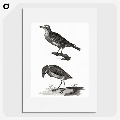 3-33_Johan-Teyler_picture