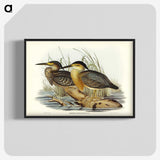 3-33_John-Gould_blk-crop