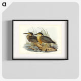 3-33_John-Gould_blk