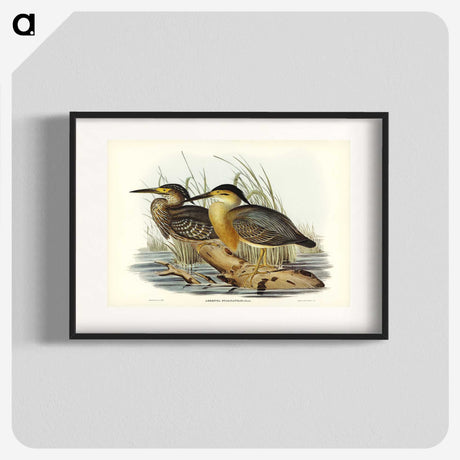 3-33_John-Gould_blk
