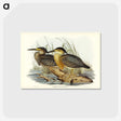 3-33_John-Gould_postcard