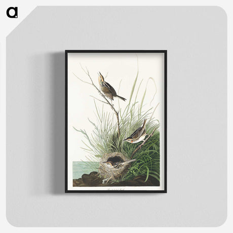 3-33_John-James-Audubon_blk-crop