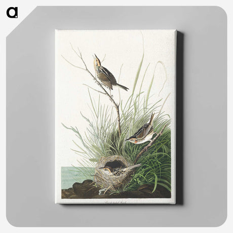 3-33_John-James-Audubon_canvas