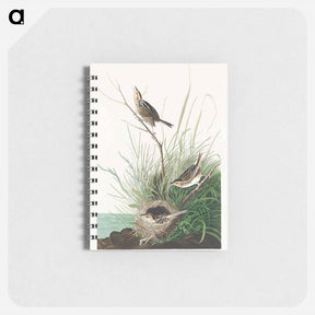 アートメモ帳-Sharp-tailed Finch
 - ジョン ジェームス オーデュボン Memo.