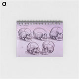 アートメモ帳-Bone Plate: Five Malformations of the Skull
 - 国立医学図書館 Memo.