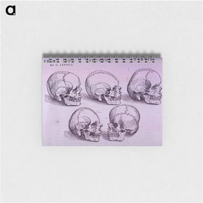 アートメモ帳-Bone Plate: Five Malformations of the Skull
 - 国立医学図書館 Memo.