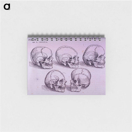 アートメモ帳-Bone Plate: Five Malformations of the Skull
 - 国立医学図書館 Memo.