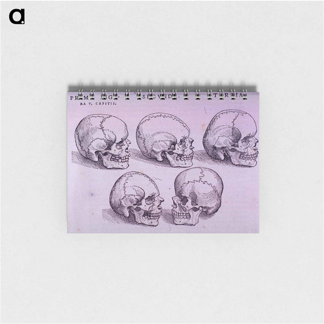 アートメモ帳-Bone Plate: Five Malformations of the Skull
 - 国立医学図書館 Memo.