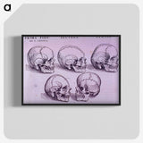 3-33_National-Library-of-Medicine_blk-crop