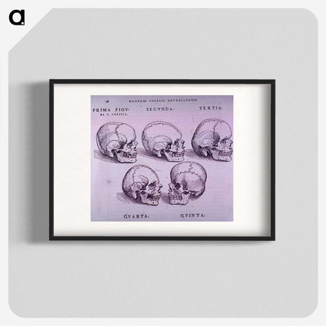 3-33_National-Library-of-Medicine_blk