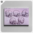 3-33_National-Library-of-Medicine_canvas