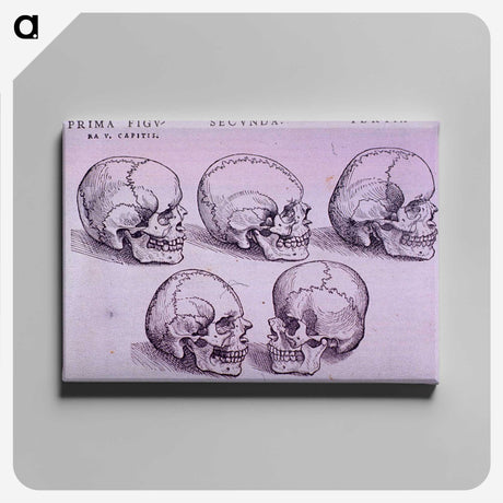 3-33_National-Library-of-Medicine_canvas