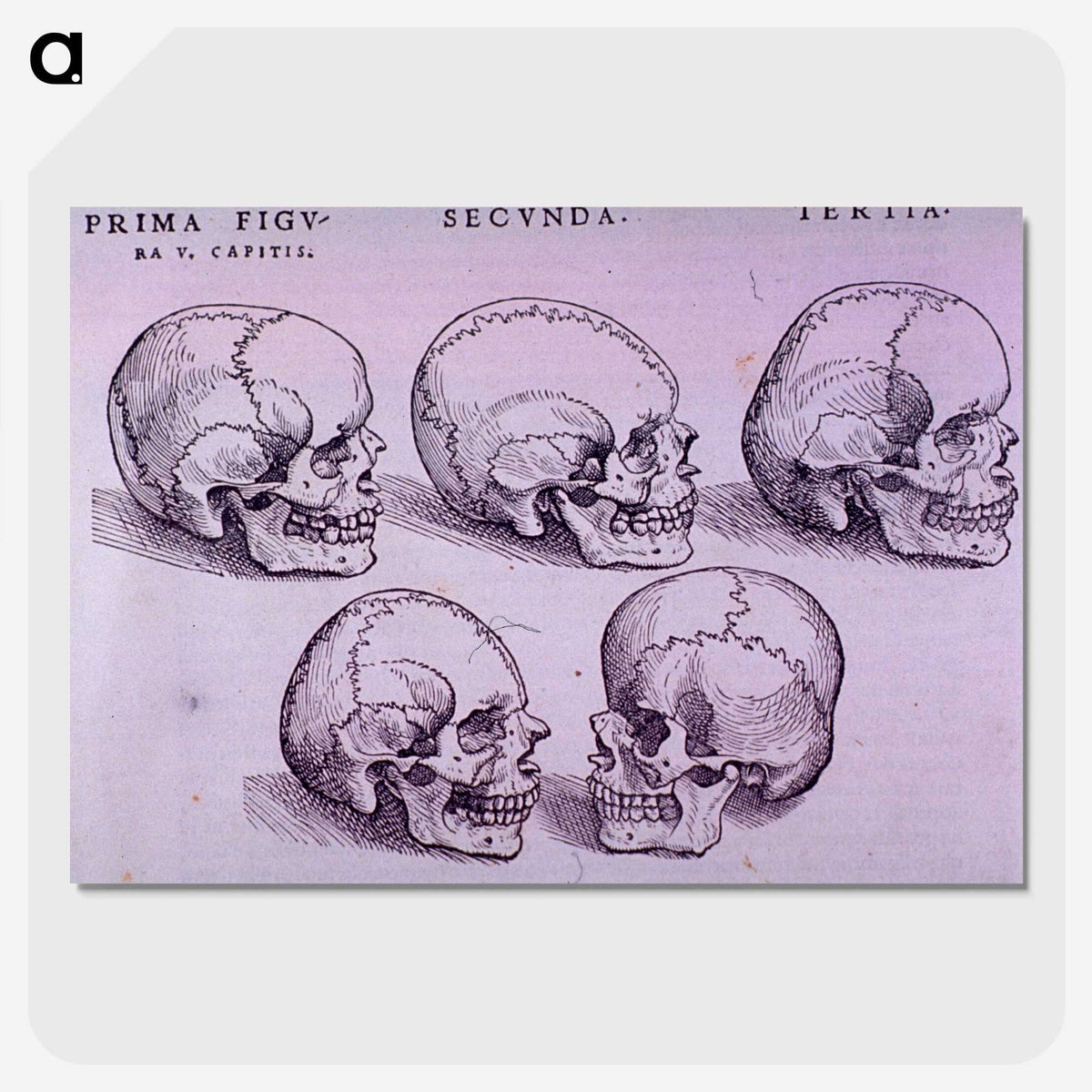3-33_National-Library-of-Medicine_picture-crop