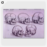 3-33_National-Library-of-Medicine_picture-crop