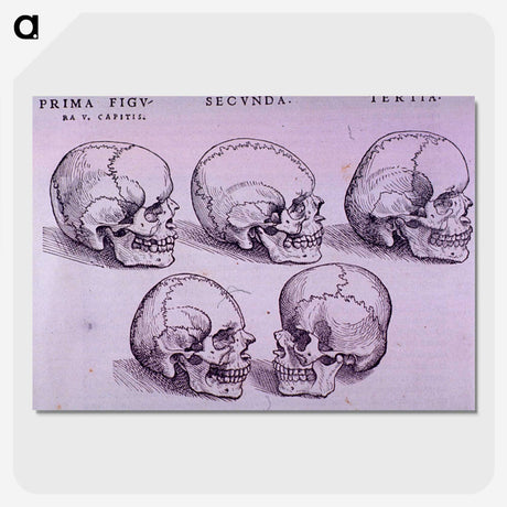 3-33_National-Library-of-Medicine_picture-crop