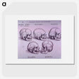 3-33_National-Library-of-Medicine_picture