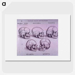 3-33_National-Library-of-Medicine_picture