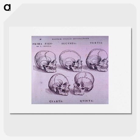 3-33_National-Library-of-Medicine_picture