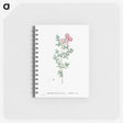 3-33_Pierre-Joseph-Redoute_memo