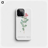 Mesembryanthemum Deltoides (Pink Iceplant) - ピエール ジョゼフ ルドゥーテ Phone Case.