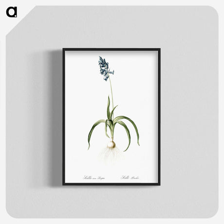 3-33_The-Lilies_blk-crop